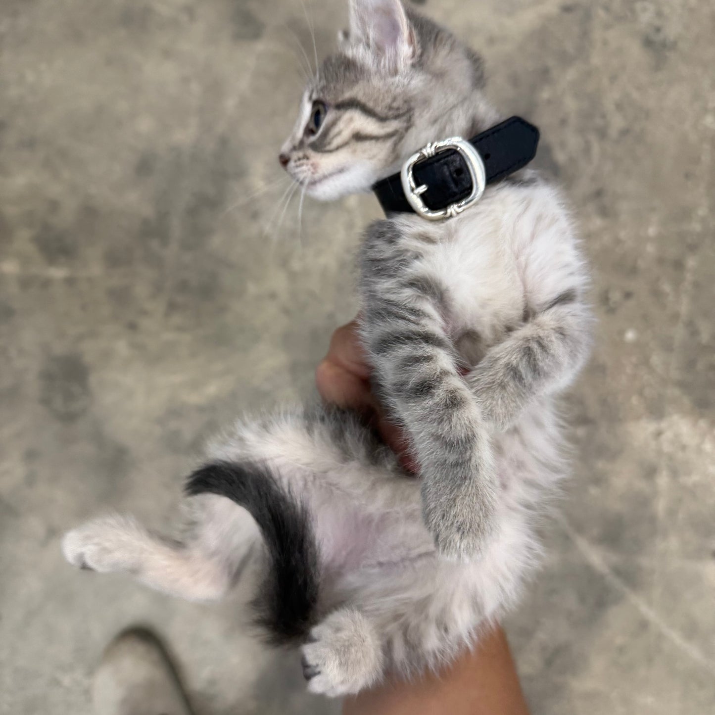 Chrome Hearts Gunslinger Bracelet