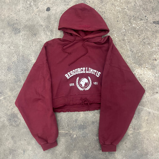 Vetements Resource Limits hoodie